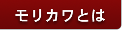 モリカワとは